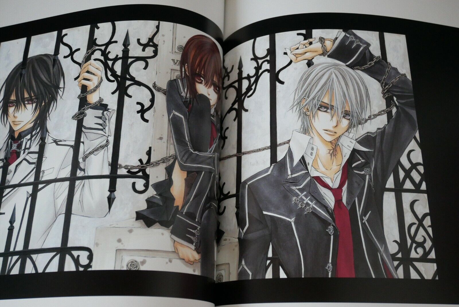 Vampire Knight: Artbook